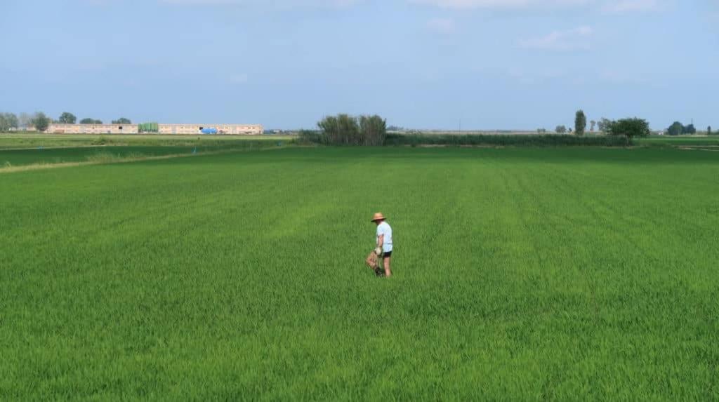 Mas De Melonet Delta Del Ebro Villa L'Aldea ภายนอก รูปภาพ